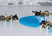 科學(xué)家3D打印比螞蟻還小的機器人 不用電就能跑